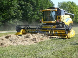 Blüh-BadFüss-03-2011_06_29-1-Dreschen